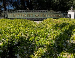 Card Thumbnail - University of California Admits Record Number of In-State Applicants, Led by Chicano/a, Latino/a Students